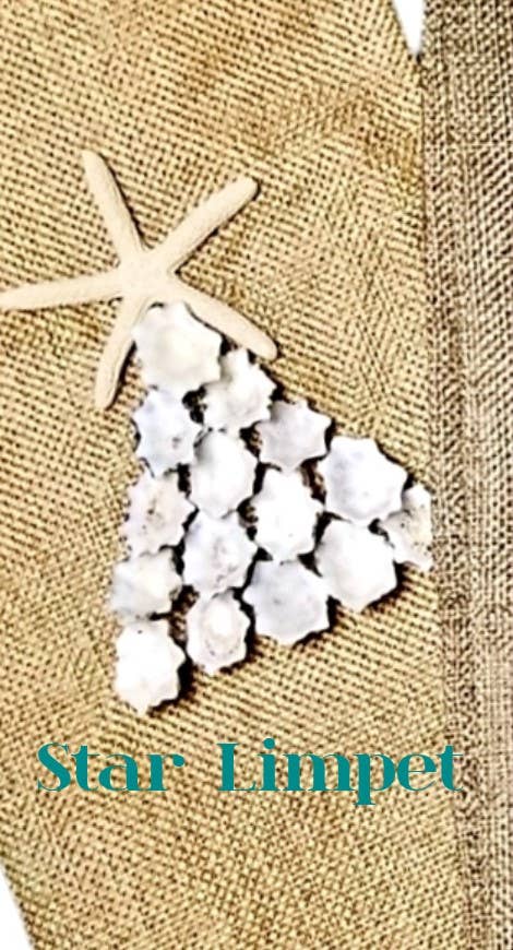 Shell We Sea Designs - Wholesale Wine Gift Bag - Seashell Tree WINE BAG Drawstring Burlap Tote Pouch Gift1