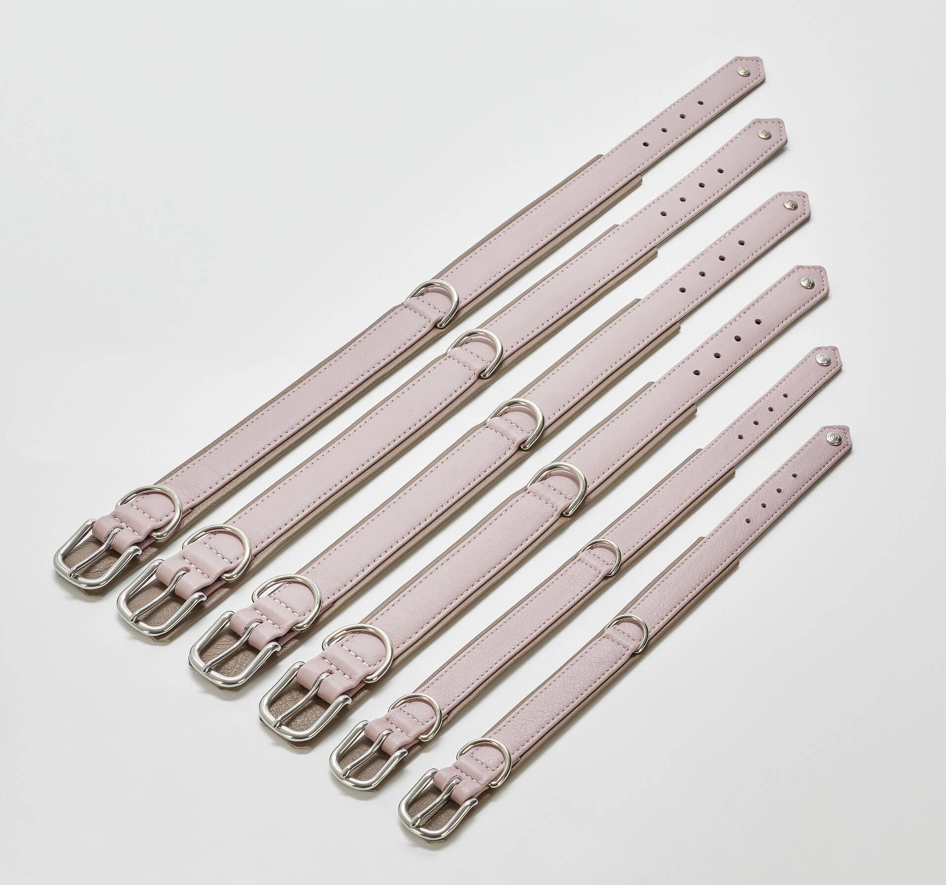 LABONI - Volentis GmbH - Wholesale Pet Collar - Dog - AMICI dog collar43