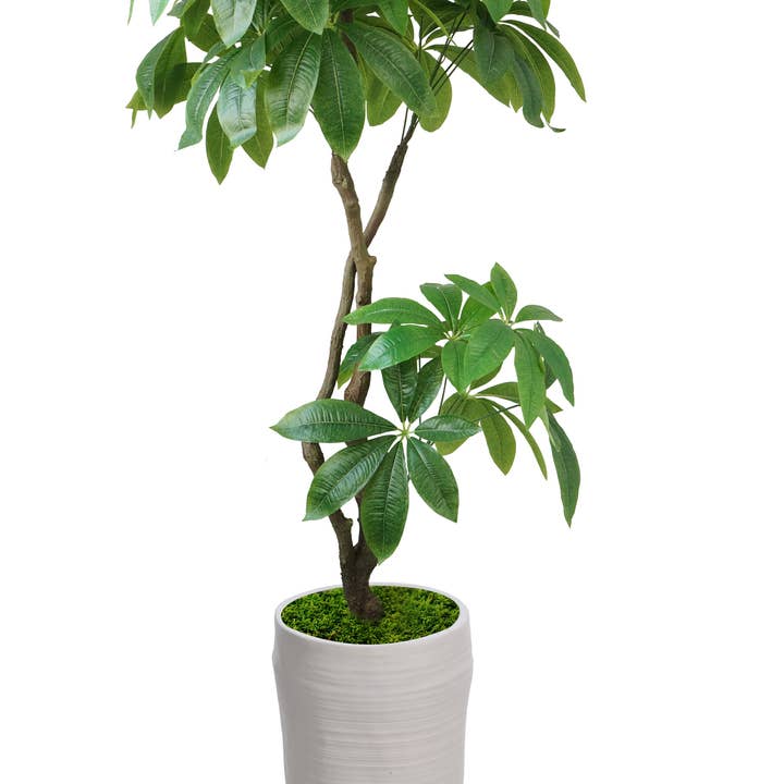 Vintage Home - Wholesale Artificial Plant - 93"Artificial Pachira Aquatica w/ rolling white fiberstone