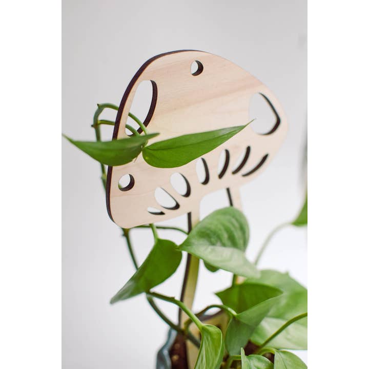 PlantsNsht - Wholesale Trellis - Mushroom Plant Trellis3