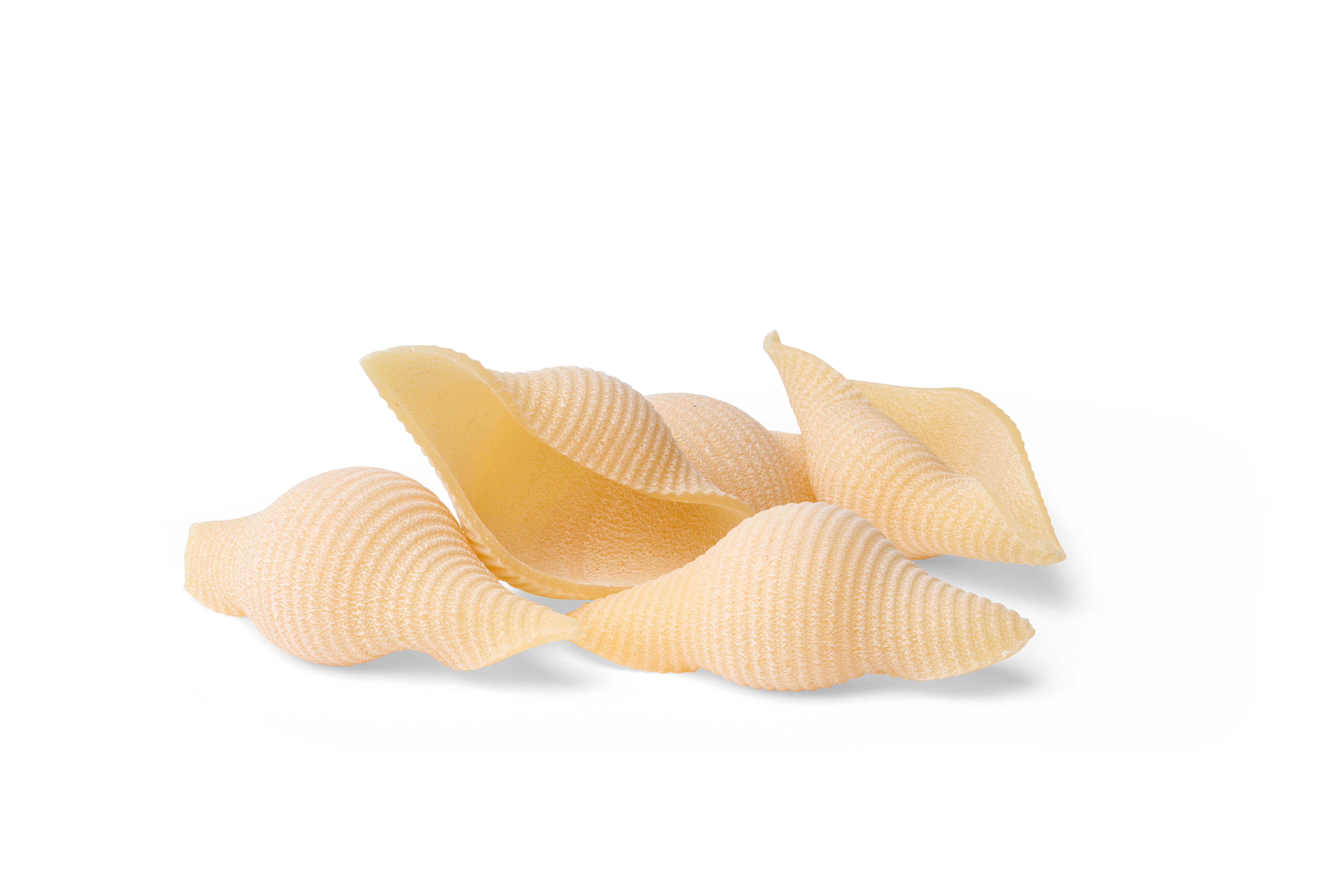 Pasta Zaccagni Pastificio d'Abruzzo Made in Italy - Wholesale Pasta - Conchiglioni 500 g - Premium Pasta - Made In Italy1