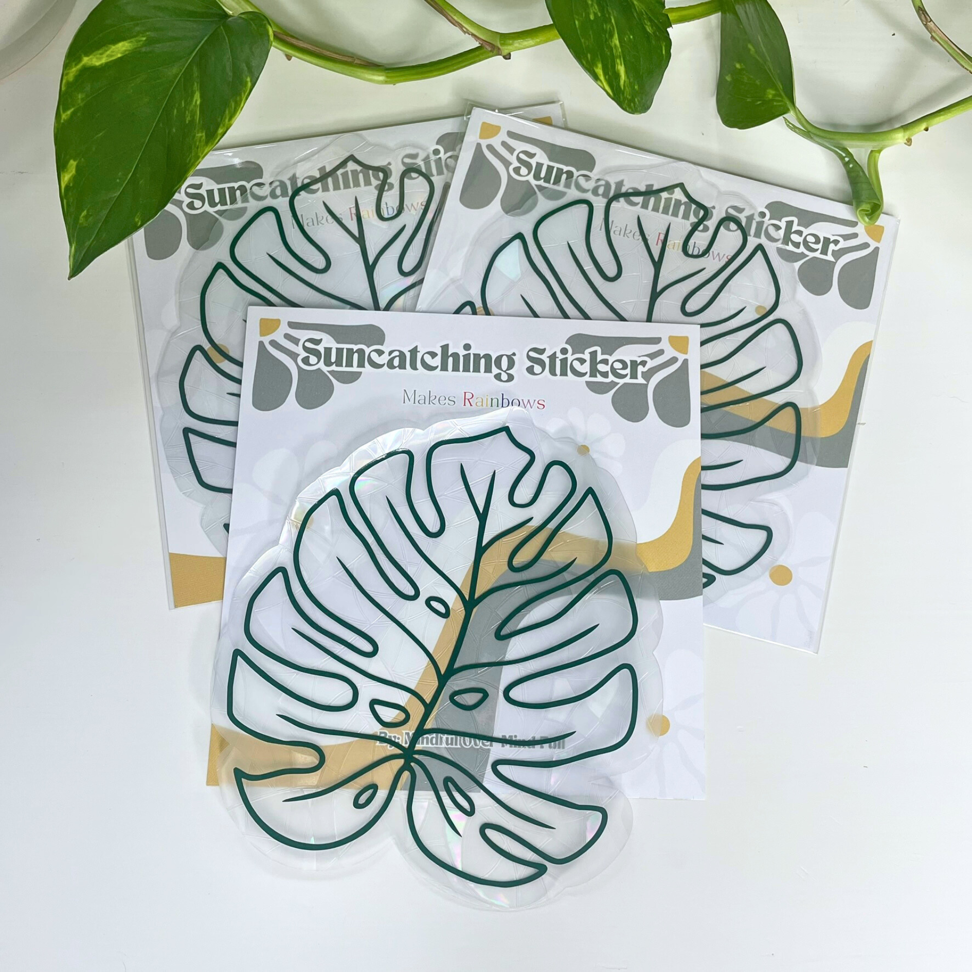 Mindful over Mind Full - Wholesale Suncatcher - Monstera Leaf Suncatcher Sticker | Window Cling | Plants4
