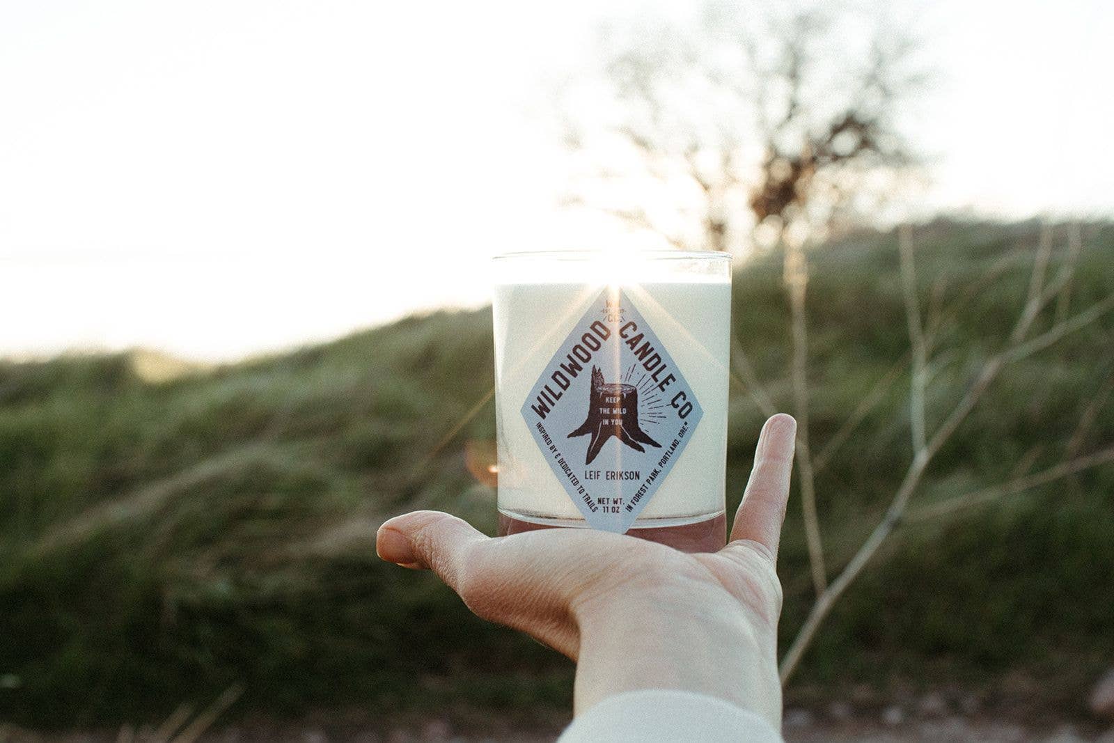 Wildwood Candle Co. - Wholesale Jar/Filled Candle - 11 oz Leif Erikson Soy Candle - Tobacco Bay Leaf2