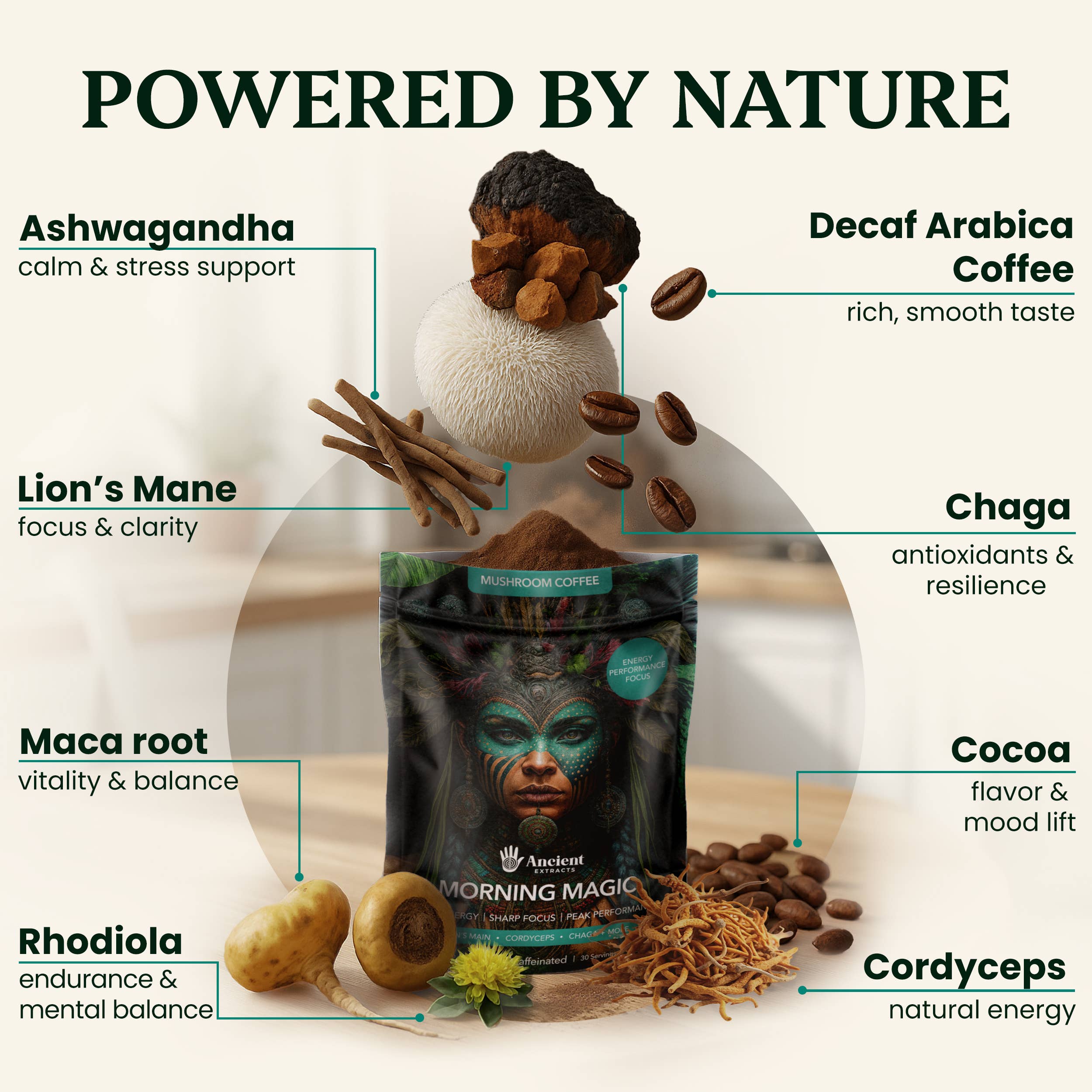 Ancient Extracts Ltd – wholesale Ground coffee – Morning Magic Mushroom Coffee (240g)2