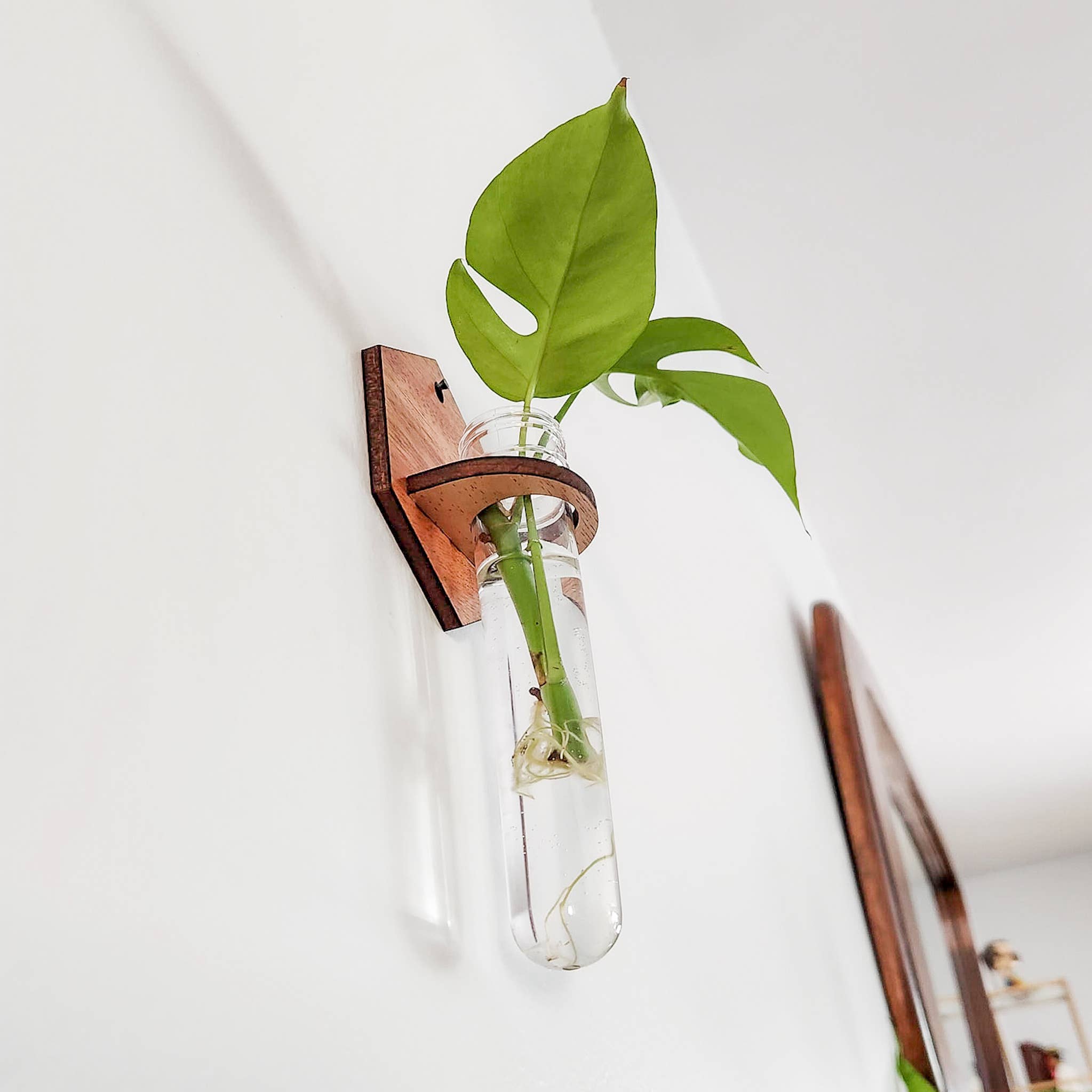 Leaf & Node - Wholesale Hanging Planter - Wall Hanging Propagation Station - Wooden Solid Hexagon2