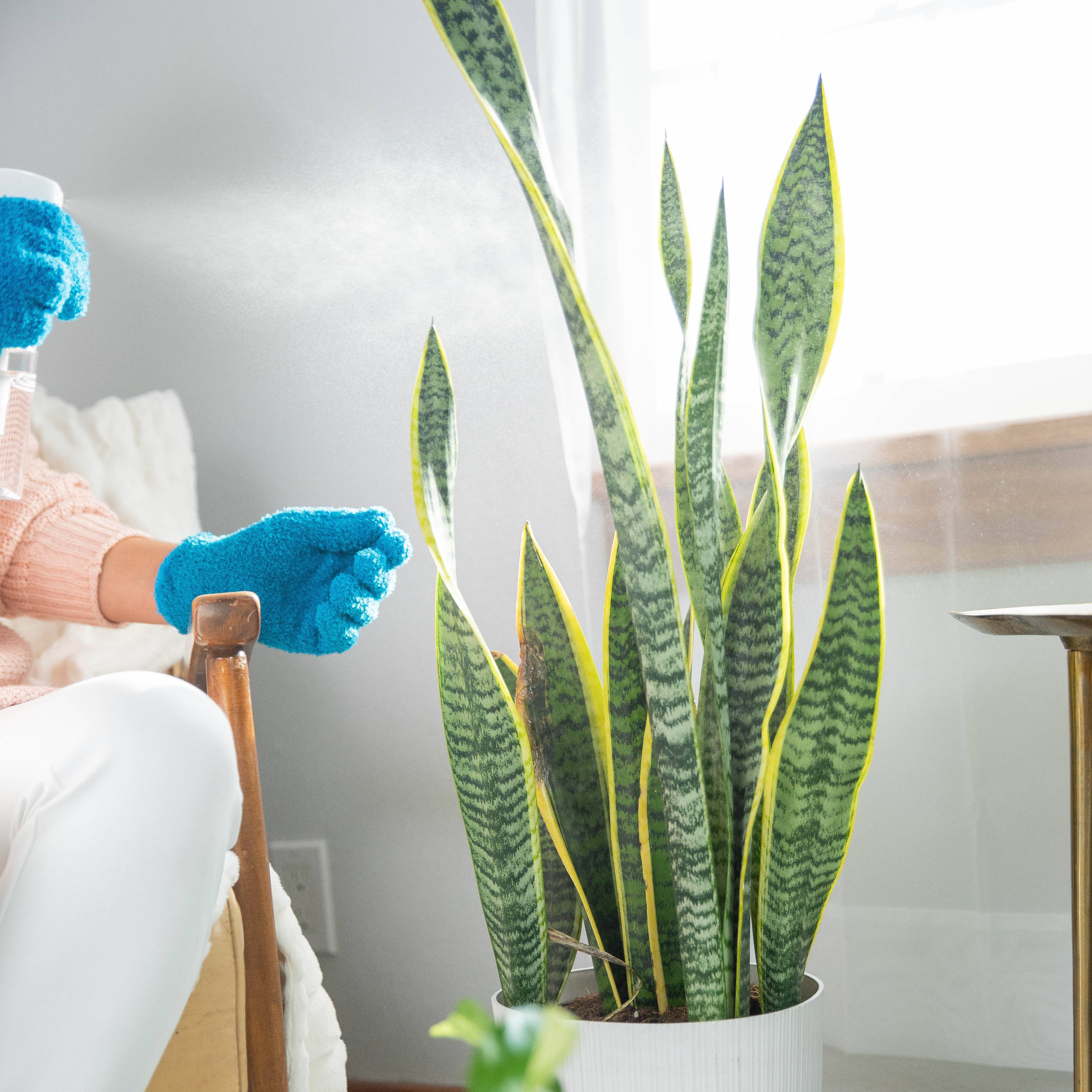 Instant Plant Food - Wholesale Fertilizer - Natural Houseplant Pest Control - Peppermint Leaf Spray BULK3