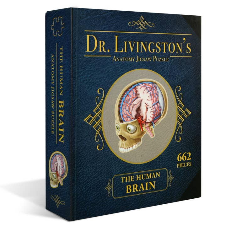 Genius Games - Wholesale Puzzle - Adult - Dr. Livingston's Anatomy Jigsaw Puzzle: The Human Brain