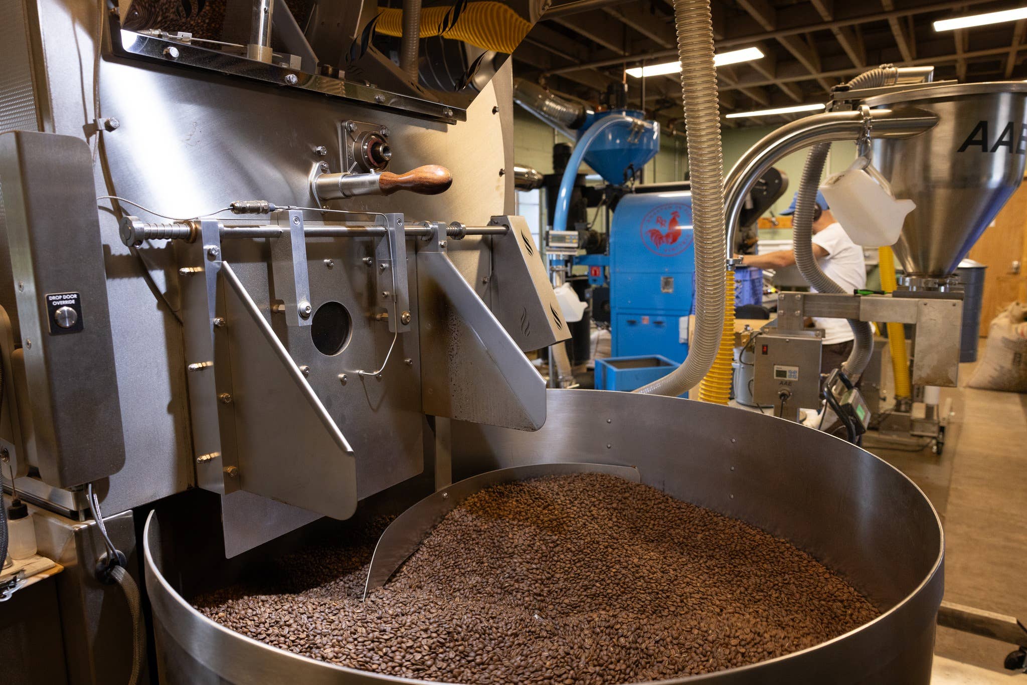 Red Rooster Coffee Roaster - Wholesale Coffee Beans - Cold Brew Blend - Medium Roast Specialty Coffee2