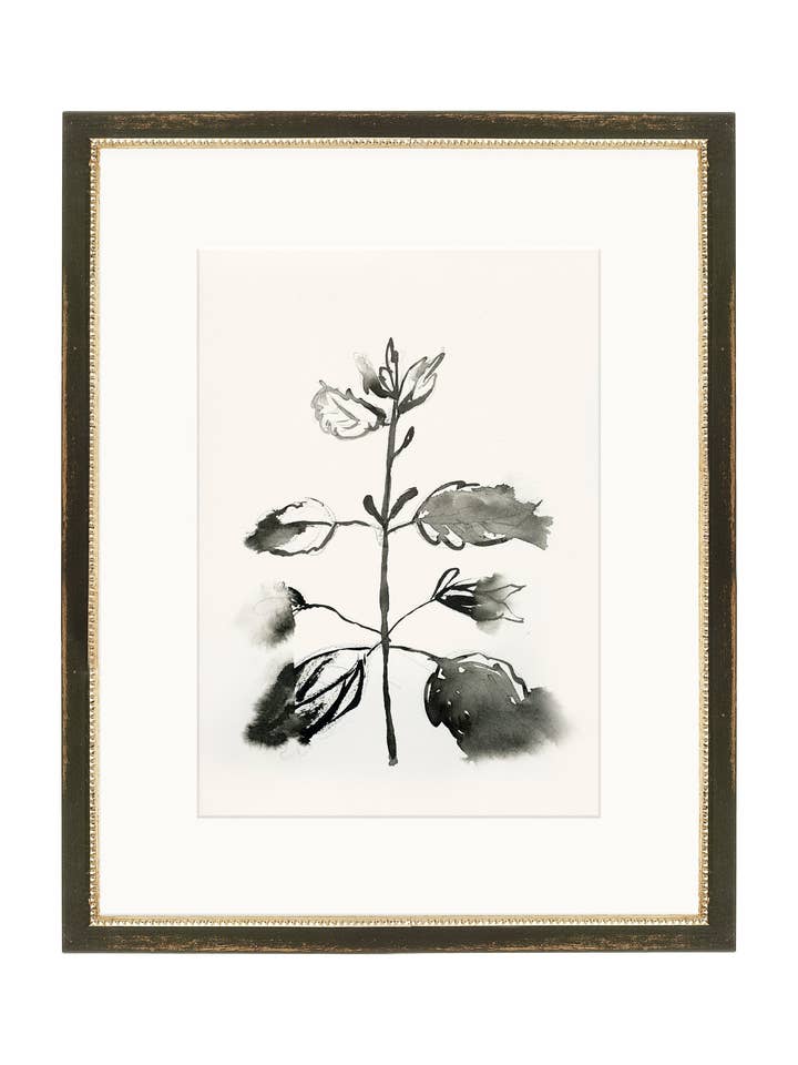 Stromende bladeren voor wholesale door Splendus