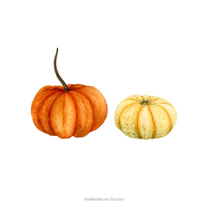 Fall Pumpkins - Art Print for wholesale by Rabbitbrush Studio