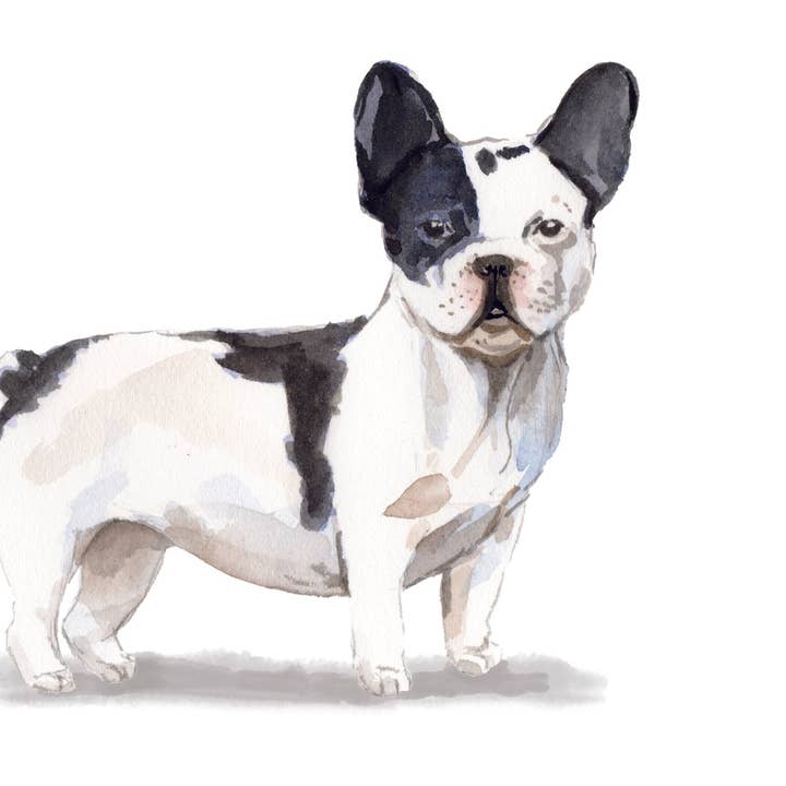 French Bulldog, Black & White Note Cards for wholesale by Bourbon & Bacon