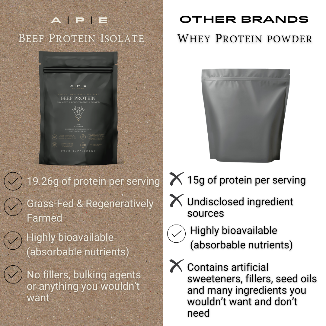 APE Nutrition – wholesale Protein/superfood powder – Grass-Fed Beef Protein | Raw Cacao & Maple Sea Salt6