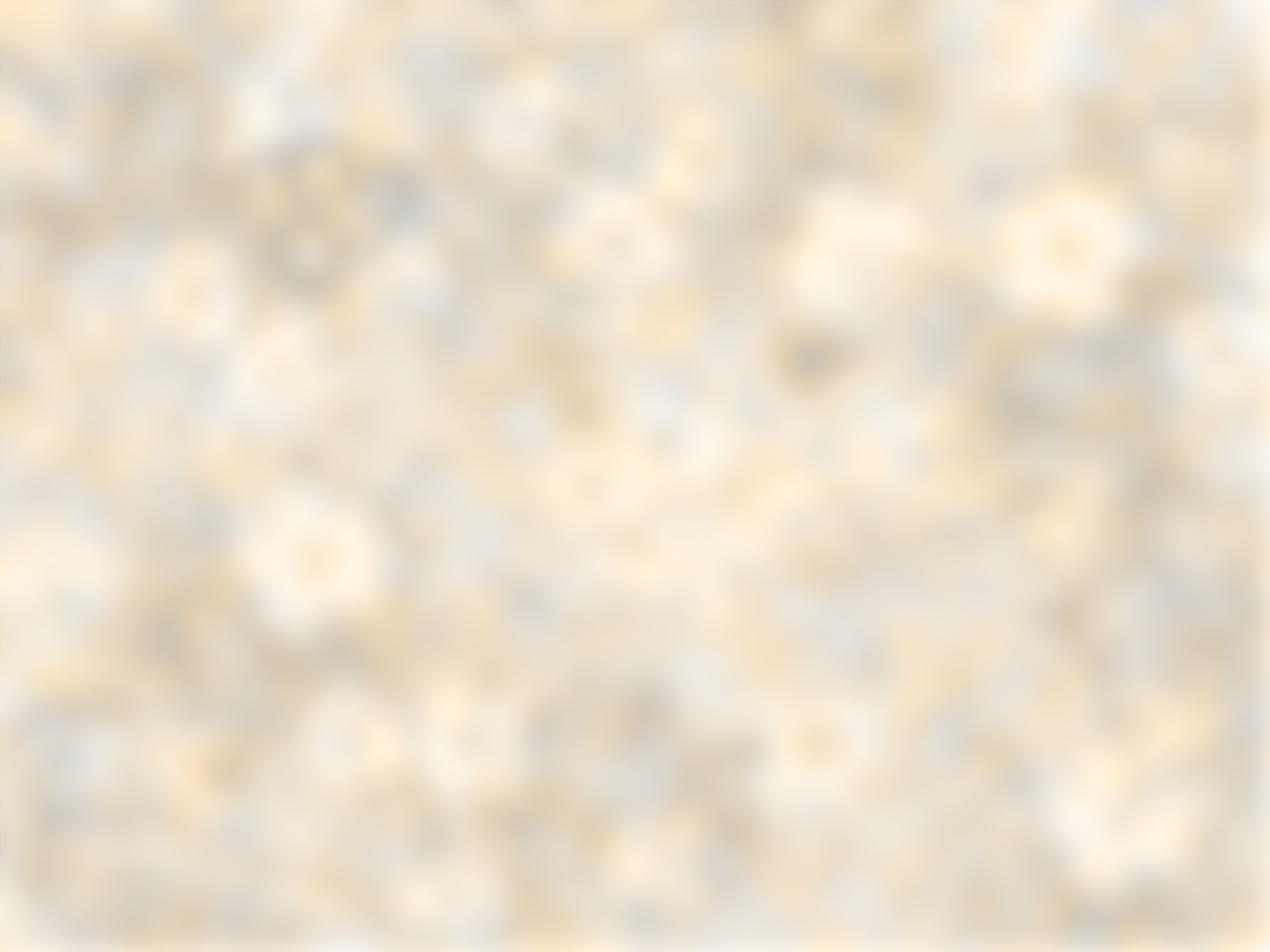 Metina SAS - Wholesale Red Wine - Chianti Montalbano Chianti DOCG Artimino 1596 75 cl.1