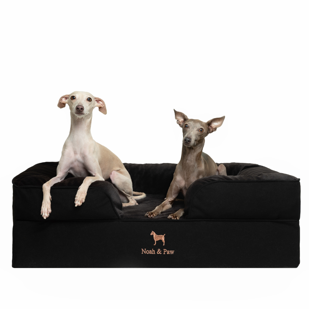 NOAH AND PAW LLC – Großhandel Haustierbett – Katze/Hund – Orthopädisches Haustierbett aus Denim, Memory-Schaum, mit kühlendem Gel durchzogen7