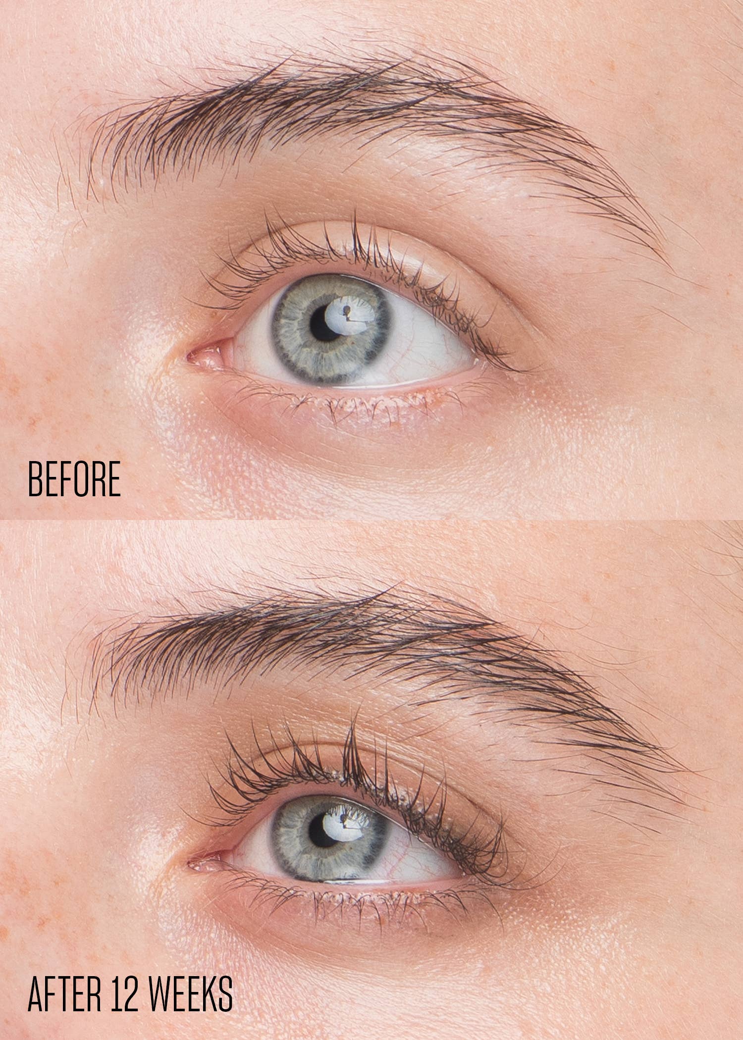 BABE ORIGINAL - Wholesale Eyelash/Brow Serum - Babe Lash 4mL Essential Serum7