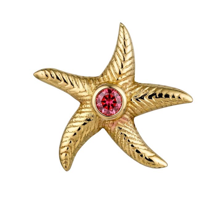 Starfish – 14K Gold Threadless/Threaded End for wholesale by Piercing-zone