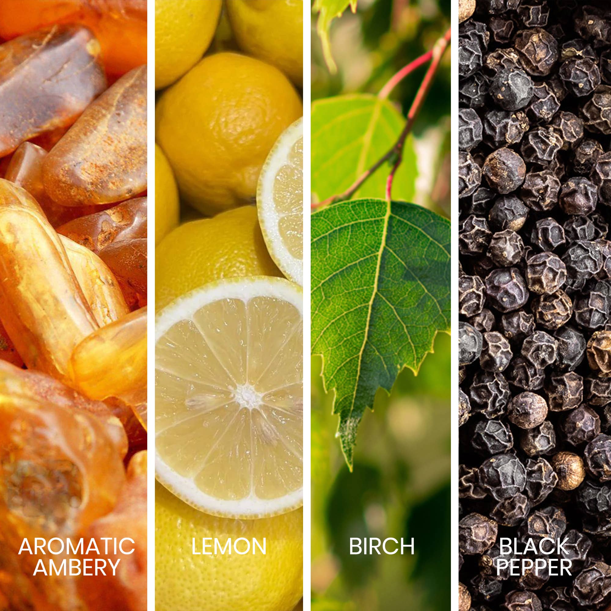 SWISS ARABIAN – wholesale Perfume/eau de toilette – Sapil Intense Noir Eau de Parfum Luxury Scent for Men 100ml2