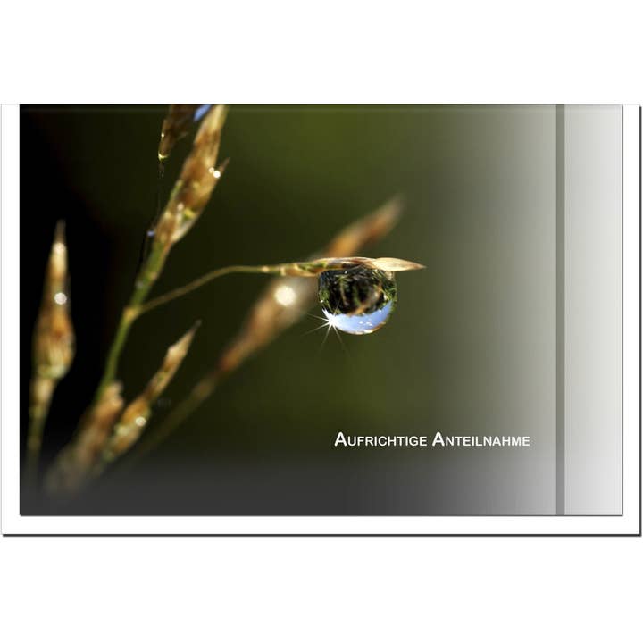 metALUm carte de condoléances B6 – Motif gouttes de rosée sur l'herbe – Sincères condoléances pour la vente par metALUm