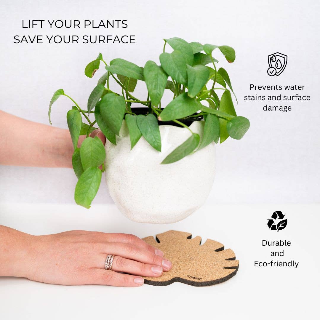 Treleaf - Wholesale Plant pot - Kostr™ - Monstera Leaf-shaped  cork plant pot coaster9
