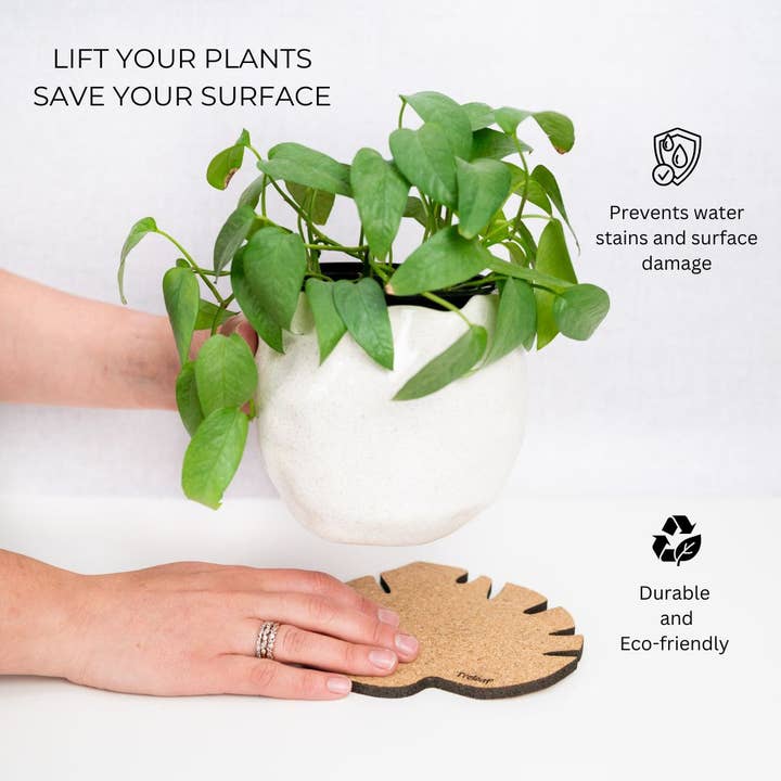 Treleaf - Wholesale Plant Pot - Kostr™ - Monstera Leaf-shaped cork plant pot coaster9