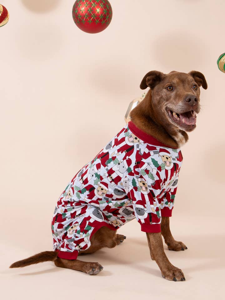 Pyjama pour chien Santa Paws pour la vente par Darren & Phillip