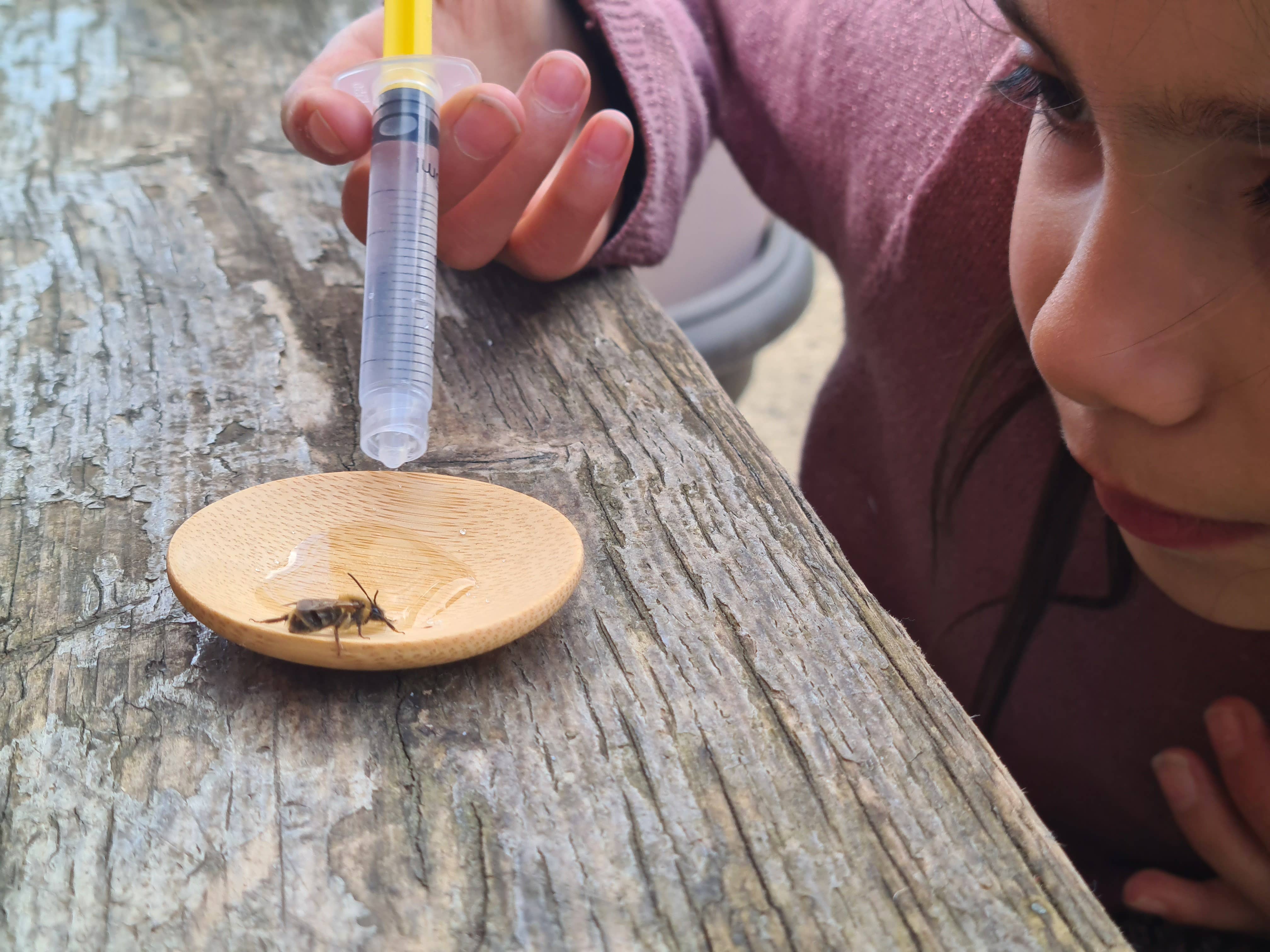 Nature Nurture Kids – wholesale DIY craft kit – Child – Bee Rescue Kit2