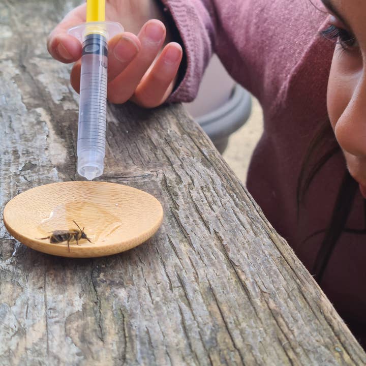 Nature Nurture Kids – wholesale DIY craft kit – Child – Bee Rescue Kit2