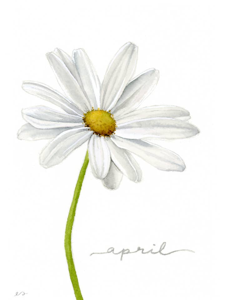 April Daisy Birth Flower Print – Watercolor Wall Art for wholesale by Art by Emma Lian