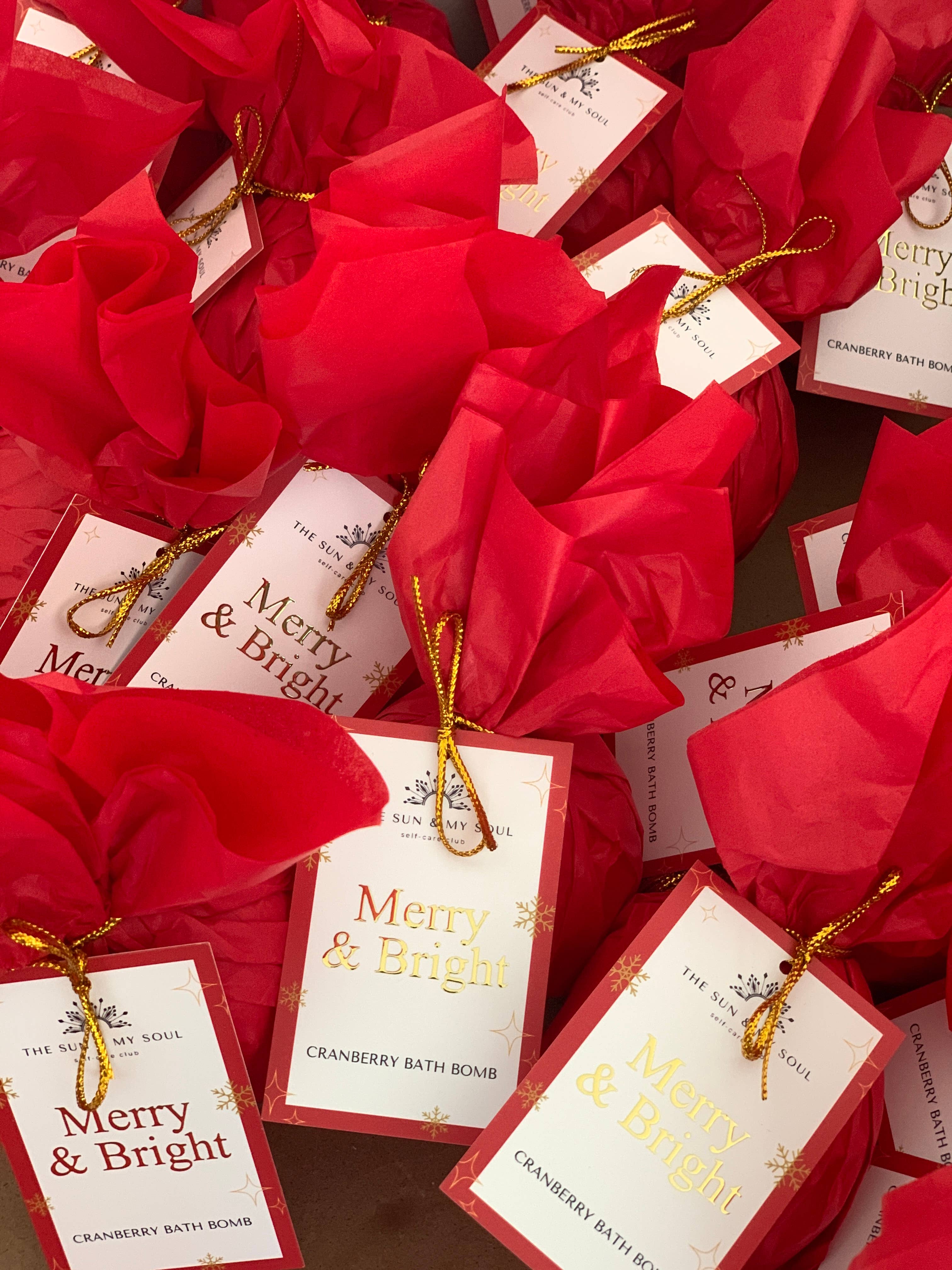 The Sun & My Soul Bath Bomb Soak Wellness Gifts – wholesale Bath bomb/fizz – Merry & Bright Christmas Cranberry Bath Bomb⎜Holiday Gift5