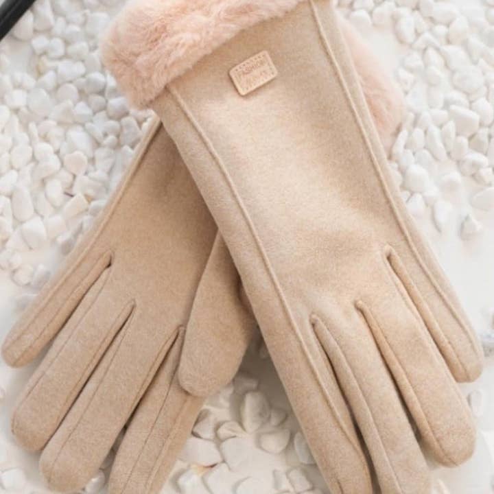 Dipped Shop - Wholesale Gloves – Women's - Winter Soft Windproof Thick Fleece Thermal Gloves FP25G7132