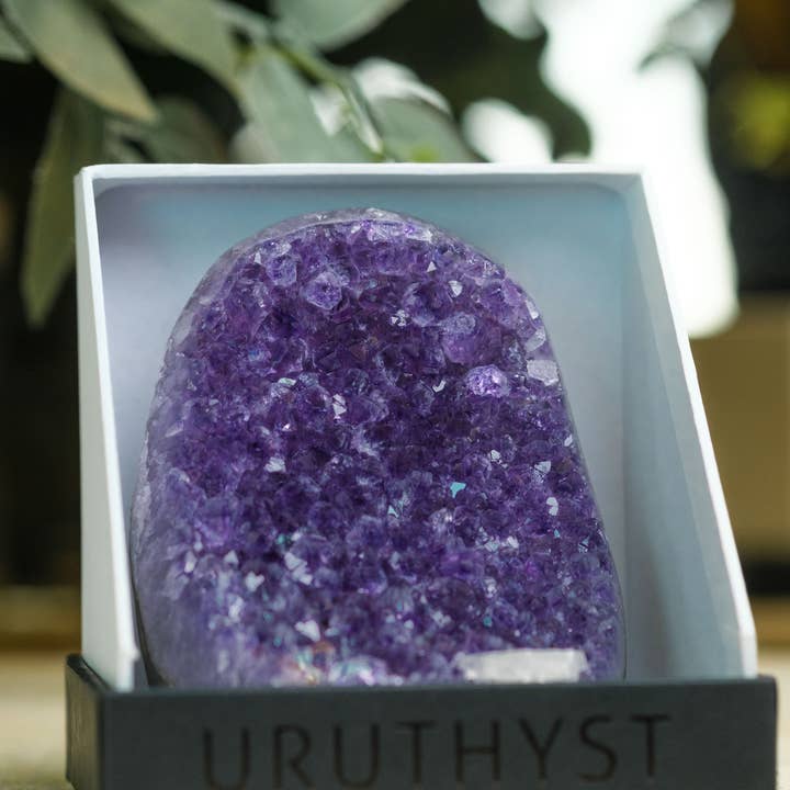 Uruthyst - Wholesale Spiritual Stone/Crystal - CUT BASE AMETHYST - PACK OF 8