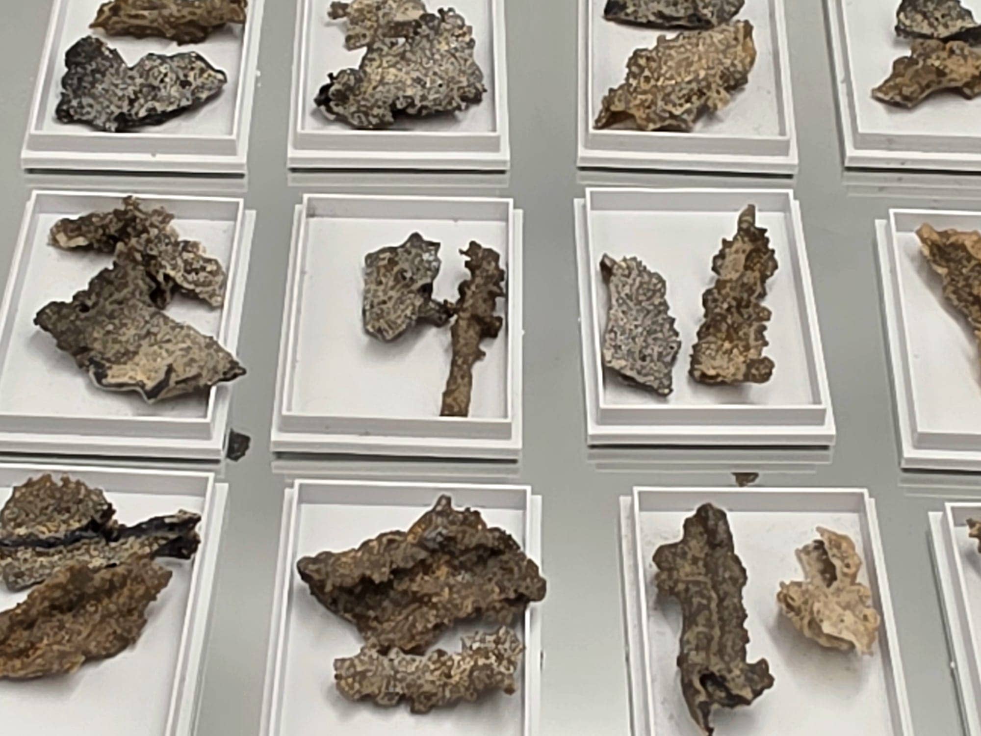 Distinction Crystals - Wholesale Spiritual stone/crystal - Fulgurite Crystal Specimens In Display Case- Lightning Stone (B3)1