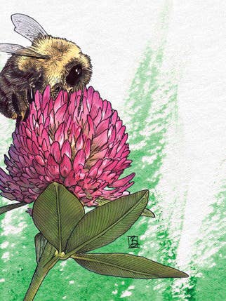 Busy #24 for wholesale by Shawn Braley Illustration