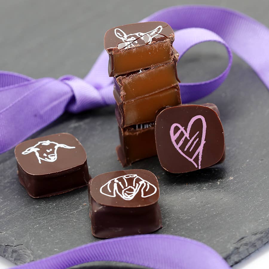 Big Picture Farm - Wholesale Chocolate Covered Sweets - Chocolate Covered Goat Milk Caramel with Hearts (Valentine)1
