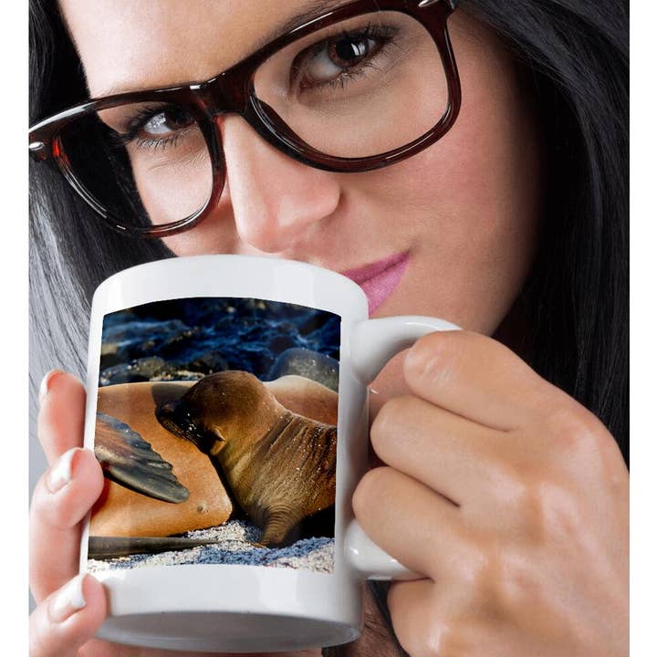 3dRose - Wholesale Coffee Mug - 3dRose, Sea Lion pup, La Loberia, San Cristobal Island, Galapagos Islands, Mug9