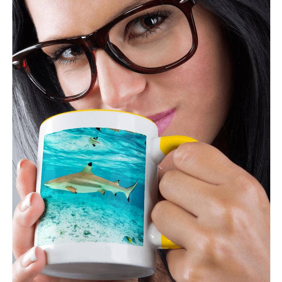 3dRose - Wholesale Coffee Mug - 3dRose, French Polynesia, Bora Bora. Black-tipped reef shark closeup., Mug1