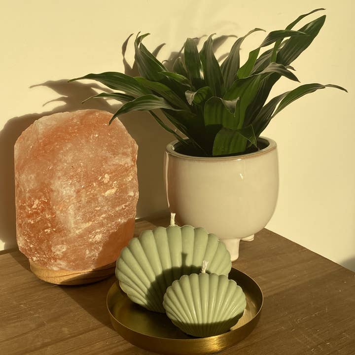 Jendels - Wholesale Novelty Candle - Candle - Shell mini