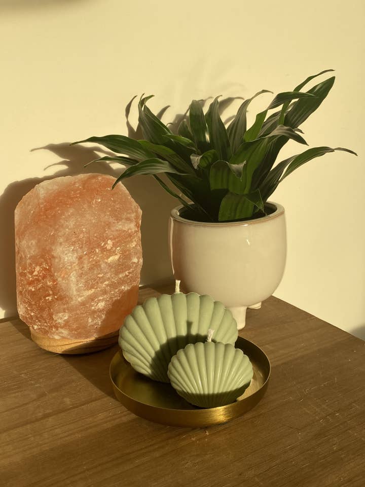 Candle - Shell Set for wholesale by Jendels