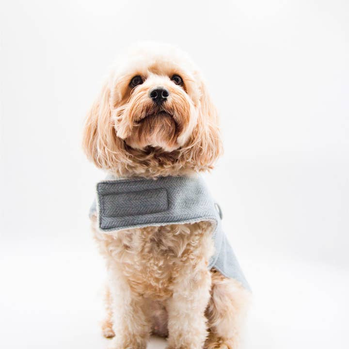 Little Ellie Boutique - Wholesale Pet coat – Dog - Winter Dog Coat: LUXE Sage Tweed1