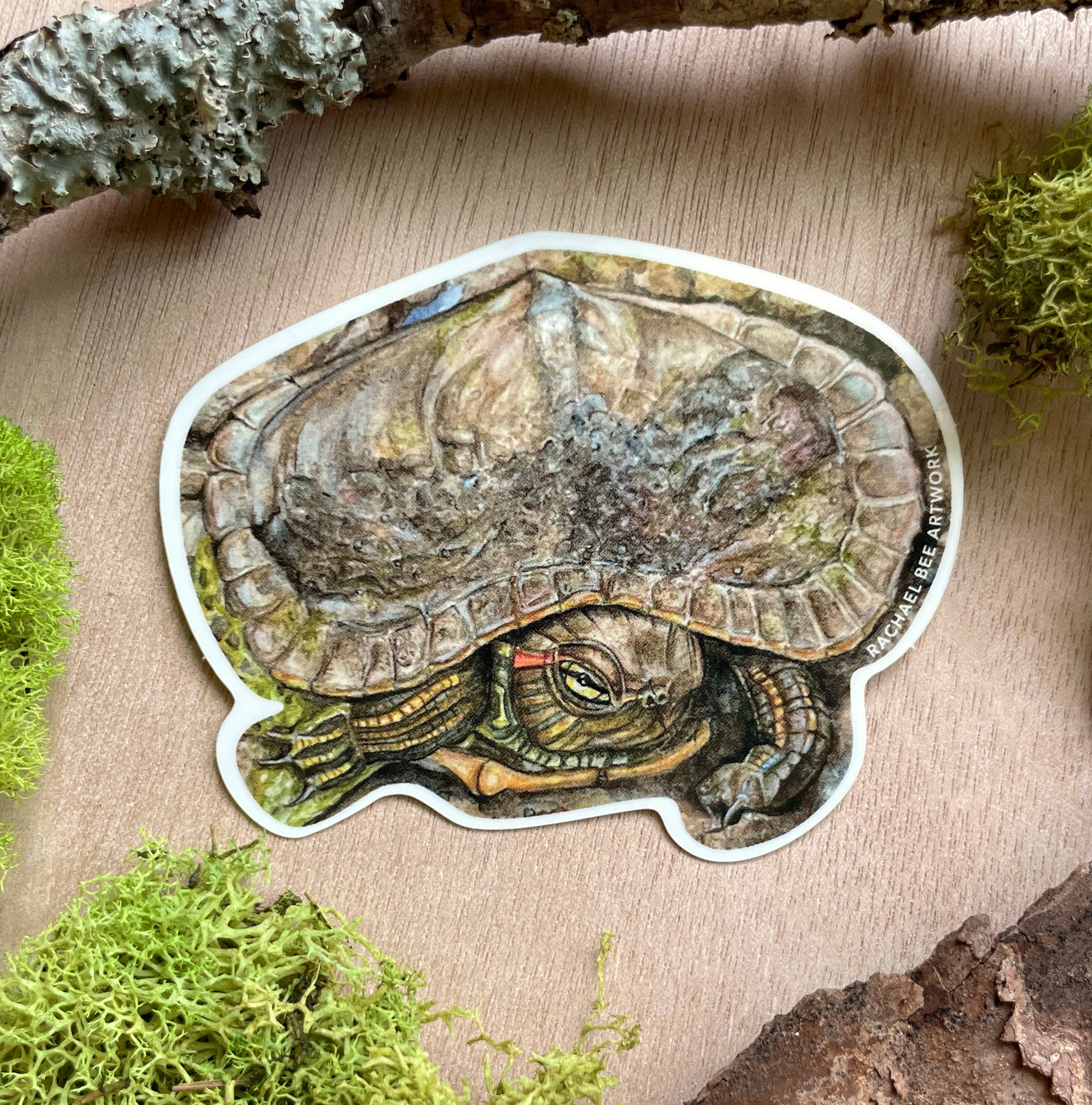 Rachael Bee Artwork - Wholesale Sticker - Turtle Sticker1