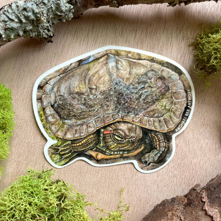 Rachael Bee Artwork - Wholesale Sticker - Turtle Sticker1
