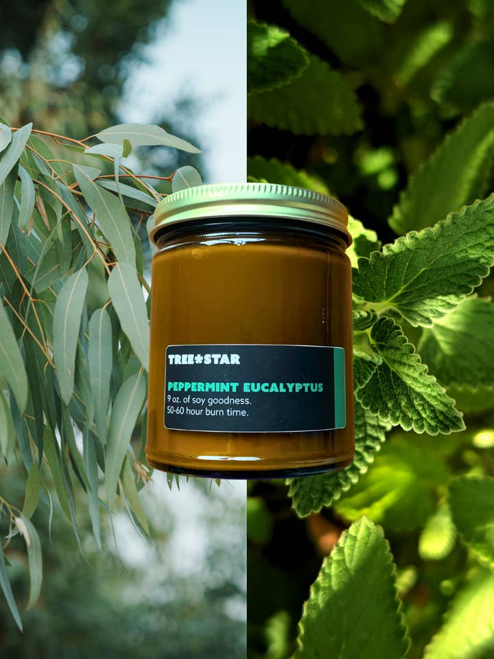 Bougie en soja 9 oz. Menthe poivrée Eucalyptus pour la vente par TREE*STAR