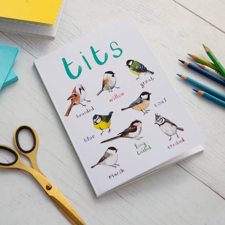 Sarah Edmonds Illustration – Caderno por atacado – Caderno de Pássaros Reciclado Titos A5