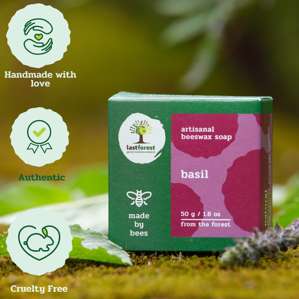 Ethikela KLG – wholesale Bar Soap – 50g Pebbles Basil Soap2