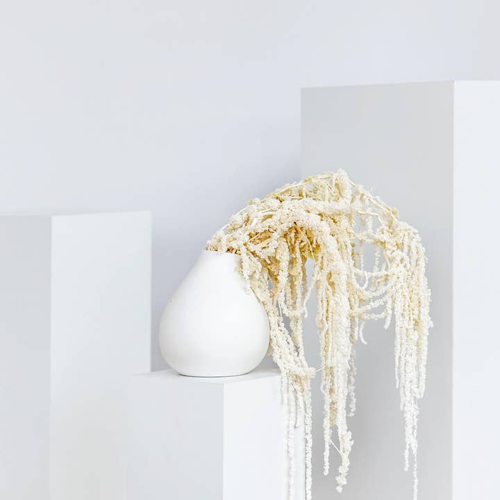 Oasis of Life - Wholesale Dried/Pressed Flowers - Amaranthus – Dried Flower (approx. 30cm) – Foxtail Amaranth in White, Natural or Wine Red – Long-lasting & Maintenance-free Decor for Vases, Bouquets & DIY – Natural & Elegant