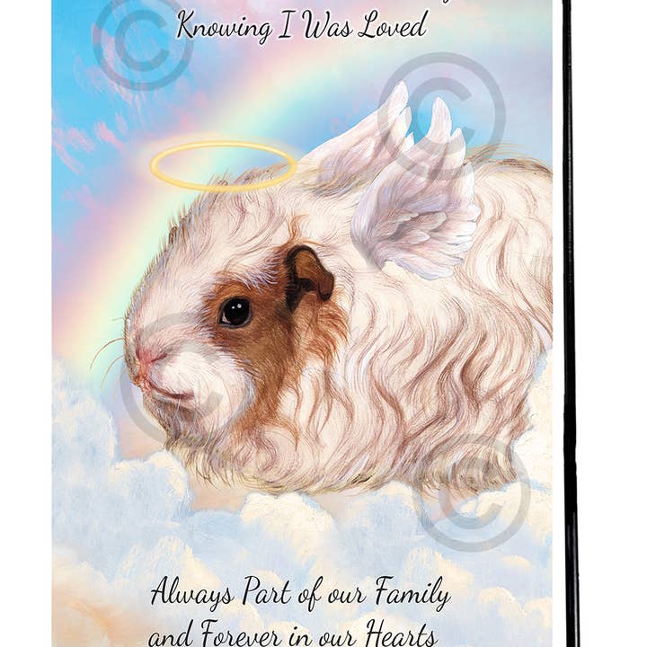 Pet Gifts USA, LLC – wholesale Flagga – Marsvin Texel Memorial flagga