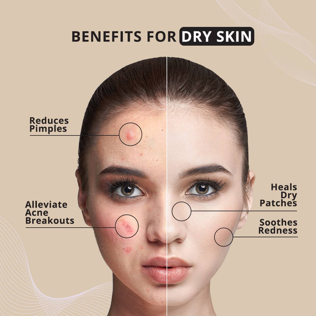 7e Wellness - Wholesale Facial Moisturizer - 7eWellness Myolift ReNu Conductive Gel - Calming & Hydrating2