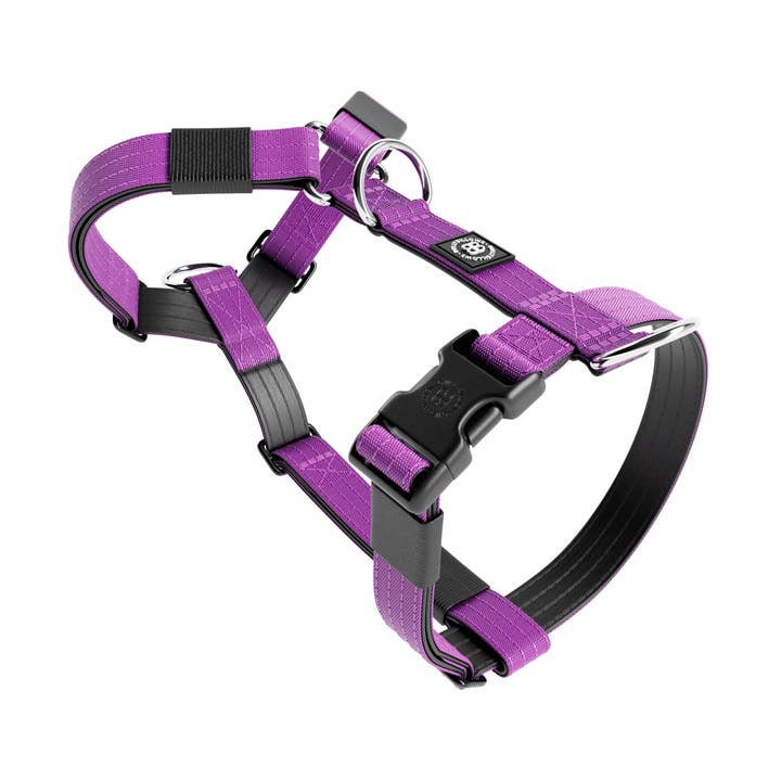 Träningssele utan drag TRI-Harness® | Små raser - Lila för wholesale av BullyBillows Ltd