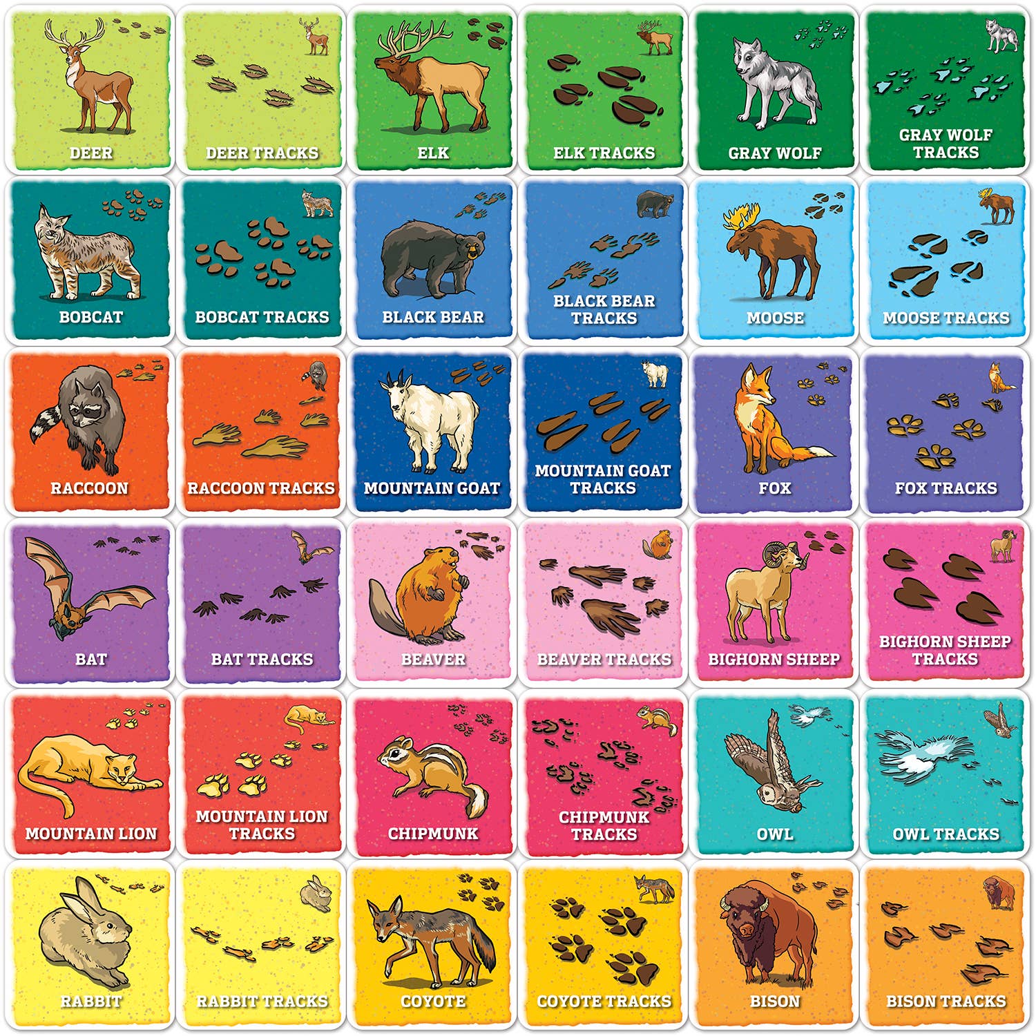 Masterpieces Puzzles - Wholesale Brain Game - Kids - Jr Ranger - Animal Tracks Matching Game1