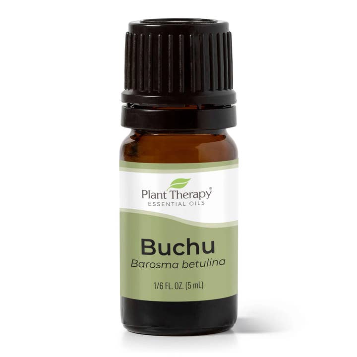 Buchu Essential Oil Blend 5 mL for wholesale by Plant Therapy